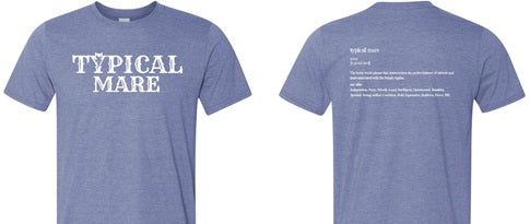 Short Sleeve Gildan Softstyle T-Shirt Heather Indigo
