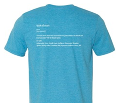 Short Sleeve Gildan Softstyle T-Shirt Heather Sapphire