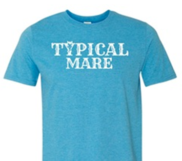 Short Sleeve Gildan Softstyle T-Shirt Heather Sapphire